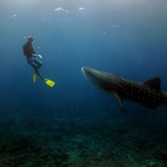 Meet your Posher, Matthew - Picture 1 of 1